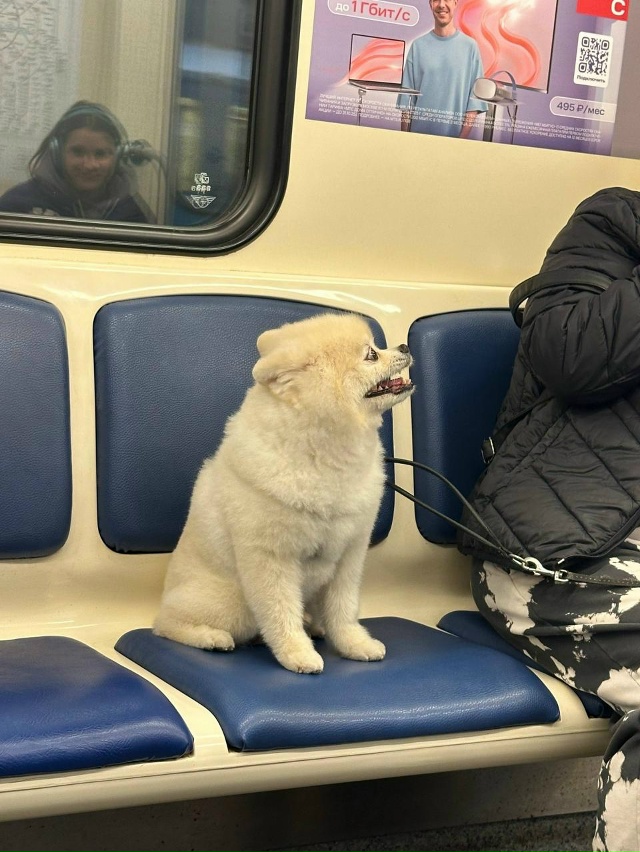 - Подскажите, любезный, сегодня ведь пятница?
- Вторник.....