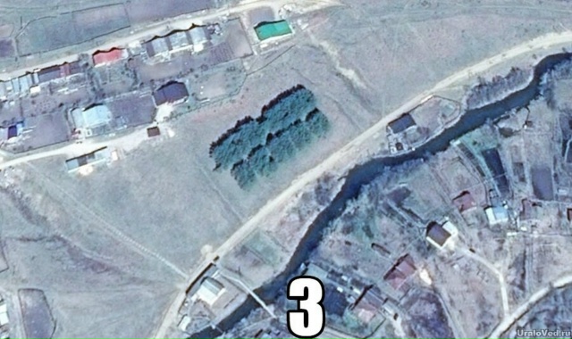 В Пермском крае есть три зaметные «надписи из деревьев?...