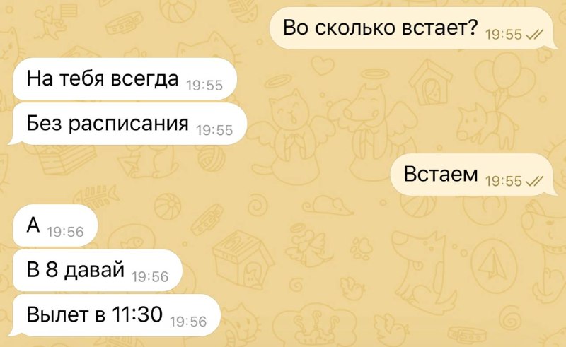 всегда стоит, еще и билеты сам походу на авиасейлсе купил, молодец какой