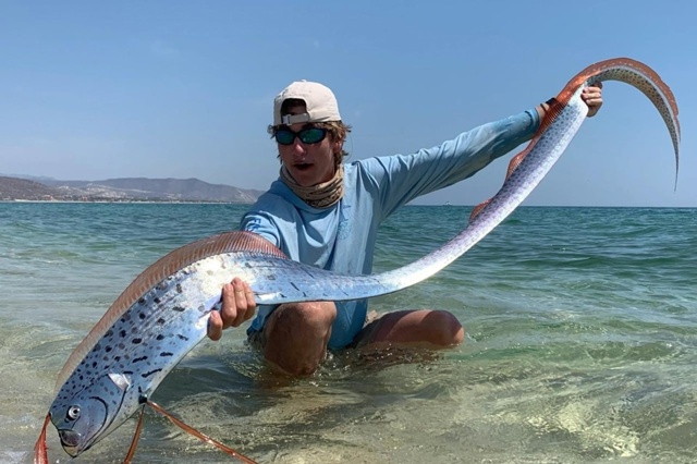 СЕЛЬДЯНОЙ КОРОЛЬ (Regalecus glesne) Его прозвали рыбой конца ?...