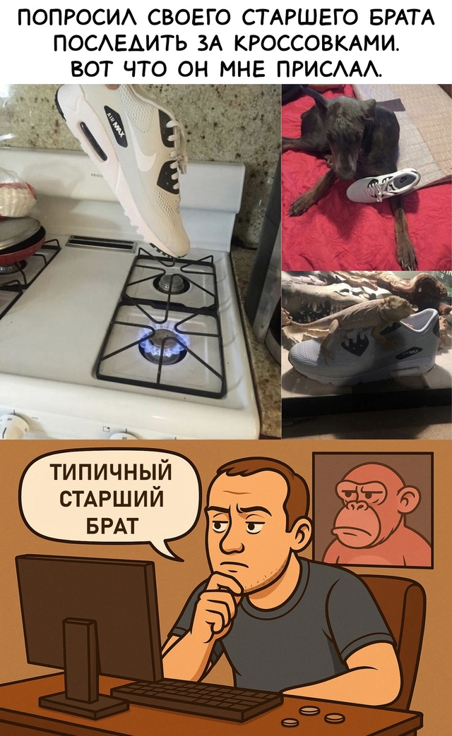 Безумные приколы
Все старшие братья одинаковые