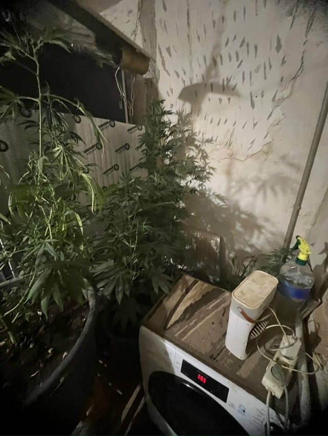 🪴Ссора с бывшей привела к уголовному делу. Совпадение...