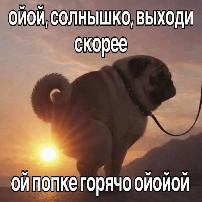 я на следующее утро после того, как сожрала черный бульдак