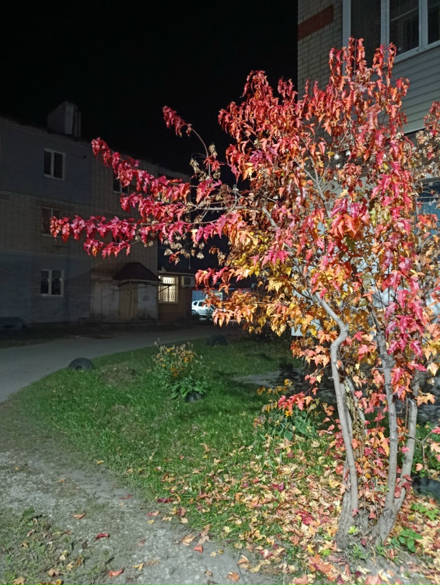 Осень в Чкаловске