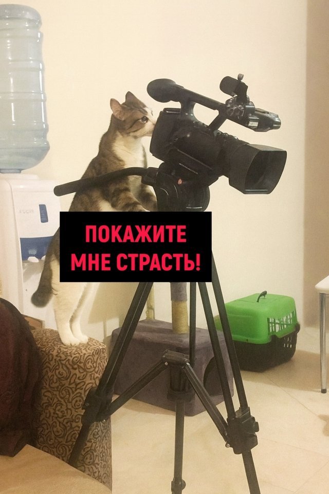 Работаем😅