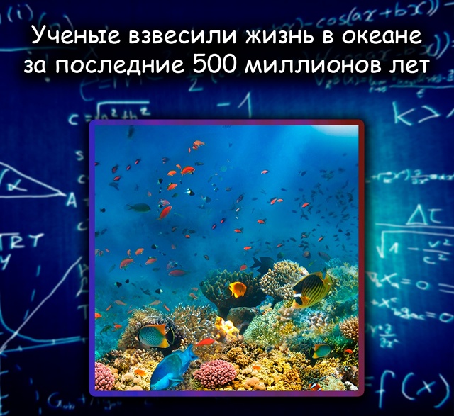 Учёные «взвесили» океанскую жизнь за 500 миллионов лет.
...
