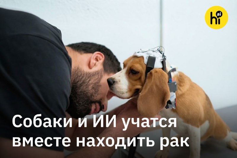 ❤️ В Индии собаки и ИИ учатся вместе находить рак
Стартап Dognosis обучает собак определять рак по