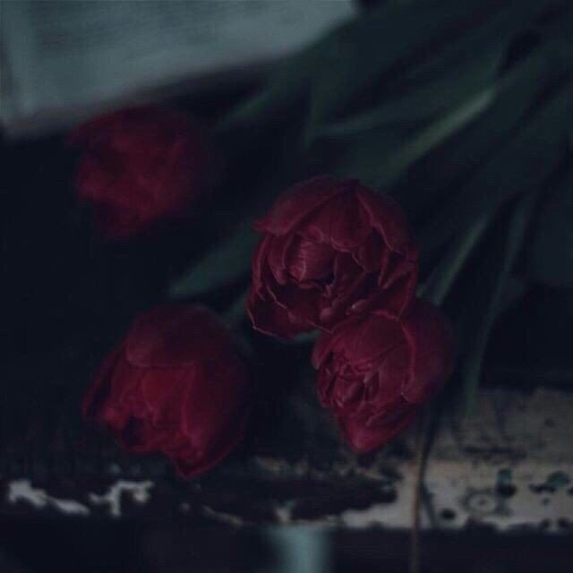 Чистая совесть ни лжи не боится, ни слухов, ни сплетен.