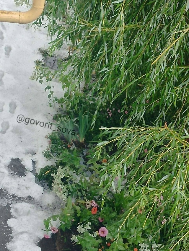 ❄️ Неожиданная зима настигла сегодня Похвистнево
📸 ...