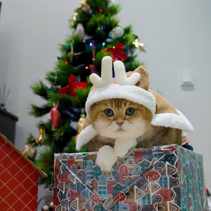 С новым 2026 годом!