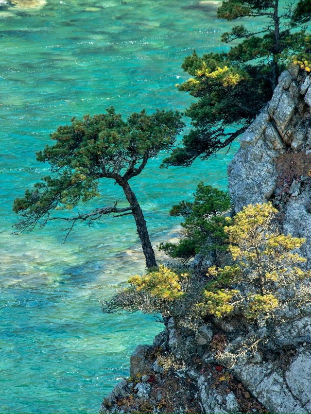 Мыс Сосновый, Приморье 🇷🇺