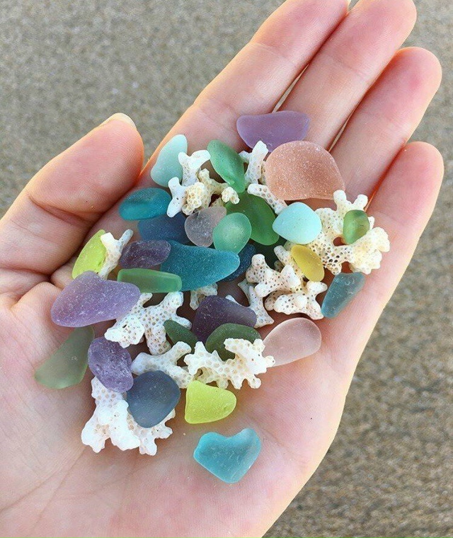 Подарочки с моря) Красота!