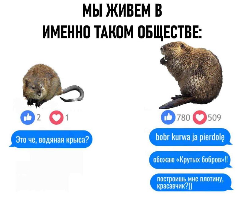 Утренняя подборочка