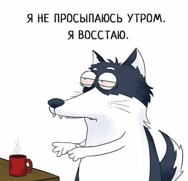 Доброе утро 🥴
Опиши одним стикером свое состояние с ?...
