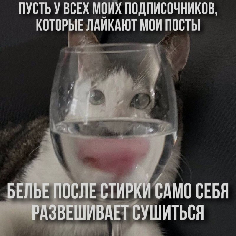 Ночная подборочка
Спать, режим