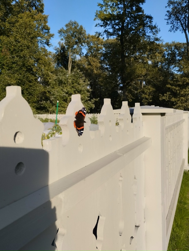 Прогулка по Александрии в тёплый сентябрьский денёк. 27...