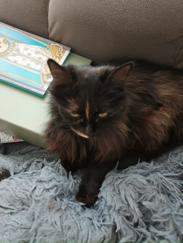 Мжвячная Нюша передаёт вам зёв