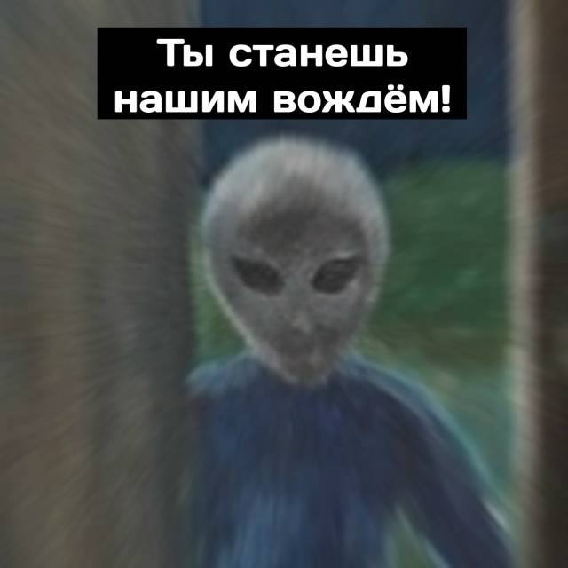 Ты знаешь кому отправить