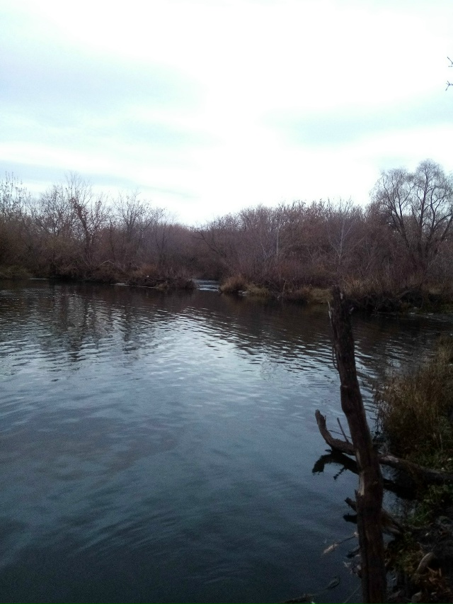 Немного позитива в ленту.На снимках,октябрь 2025 года,на ...