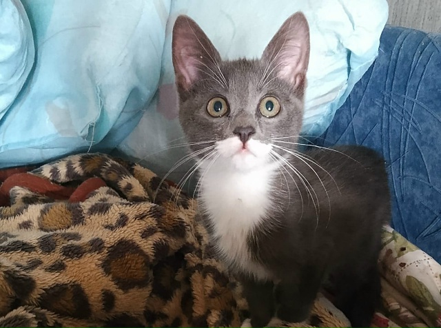 Админ, опубликуй, пожалуйста!
Переславль!
Друзья!
Обра...