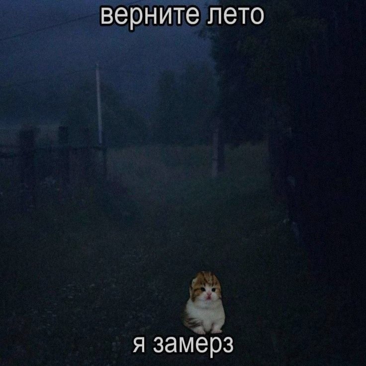 Ночная подборочка
Выходные, не спим