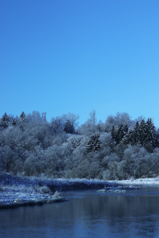 Мороз и солнце на реке Руза ❄️☀️