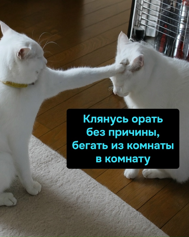 Так передаётся древняя сила беспричинного ора и внеза?...