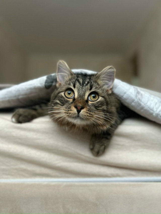 Добренькое всем😍