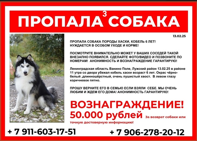 #ПотерялиНашлиПомогите
1 Потерян телефон зеленый realmi ...