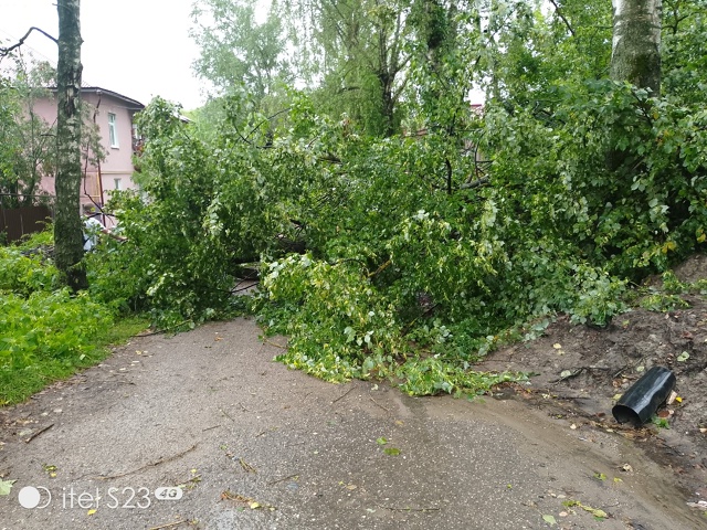 На ул Первомайская д. 1 упало дерево на проезжую часть д...