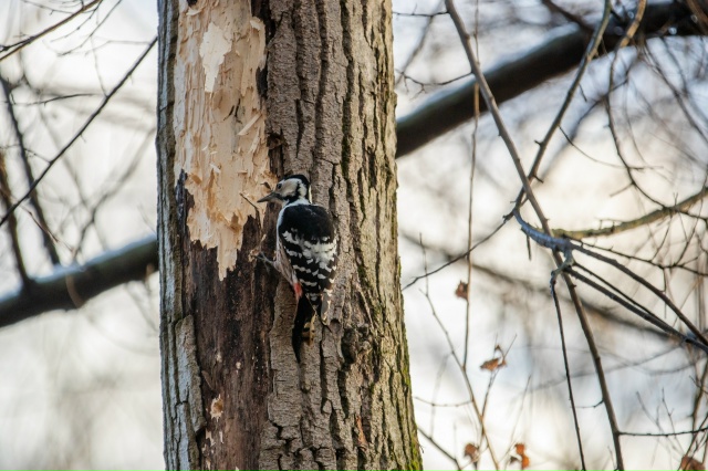 В парке ... 👀