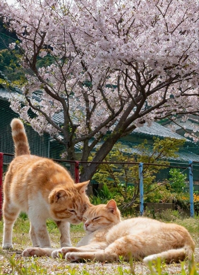 Миром правит любовь ❤