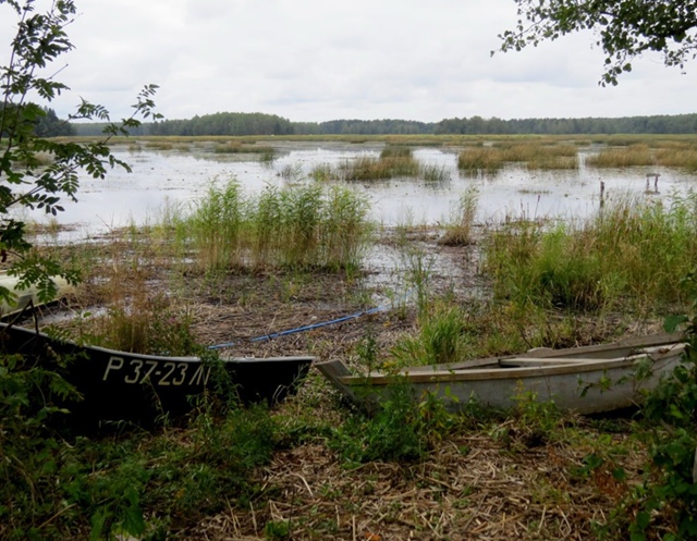 Бойца СВО жестоко убил и утопил в озере новый любовник ...