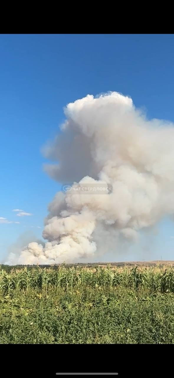 Еще фото пожара от подписчиков
Подробнее в нашем чате