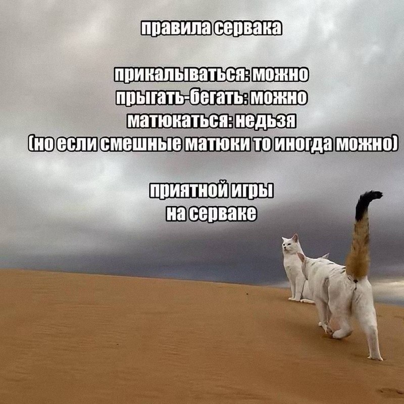 Утренняя подборочка