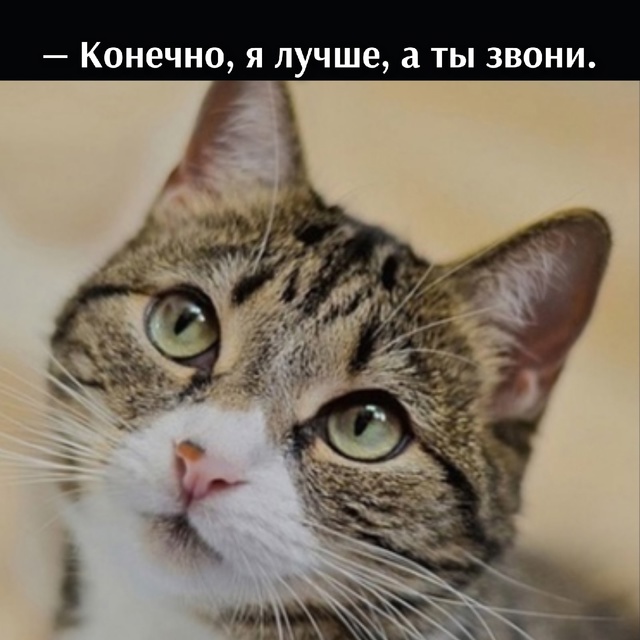 =»»
