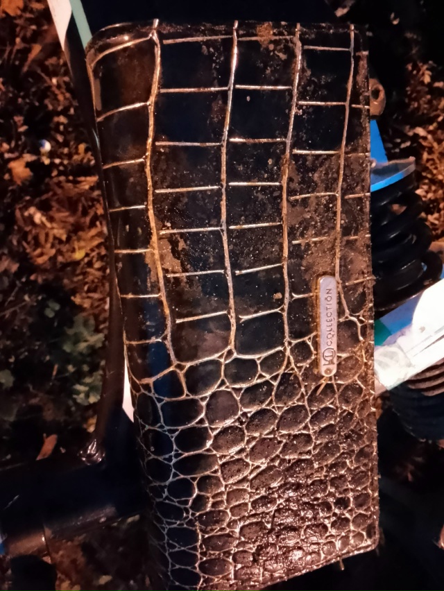 Ехал на велосипеде и нашёл. Хозяева пишите в личку.