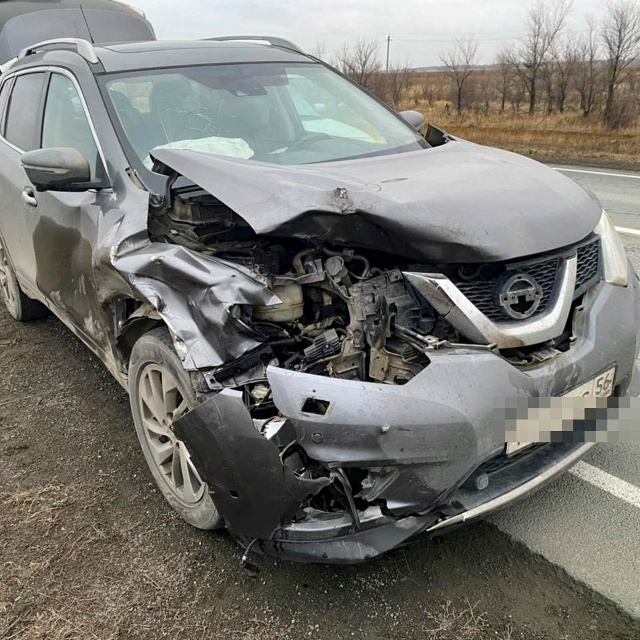 🦌 Водитель Nissan сбил лося на трассе!
Инцидент произошё...