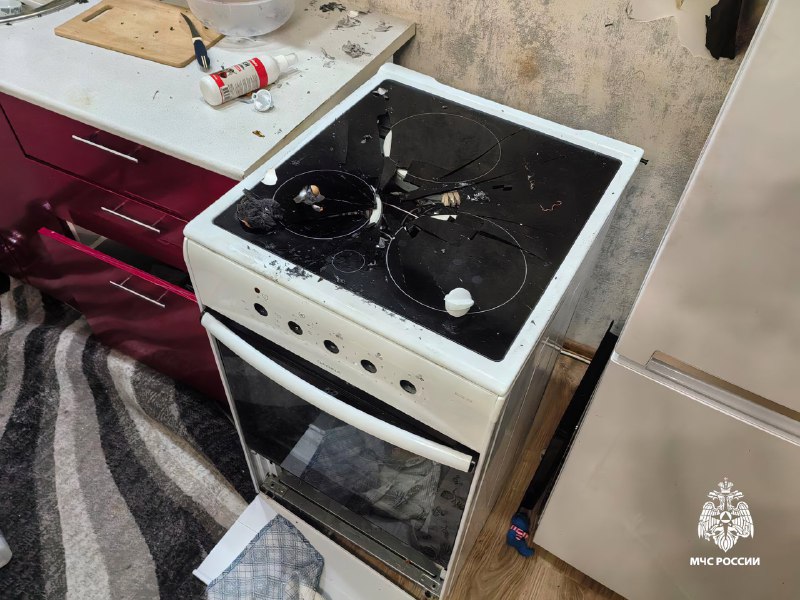 В Новосибирске бася случайно взорвала квартиру хозяина
Мужик, уходя из дома, оставил на плите балло