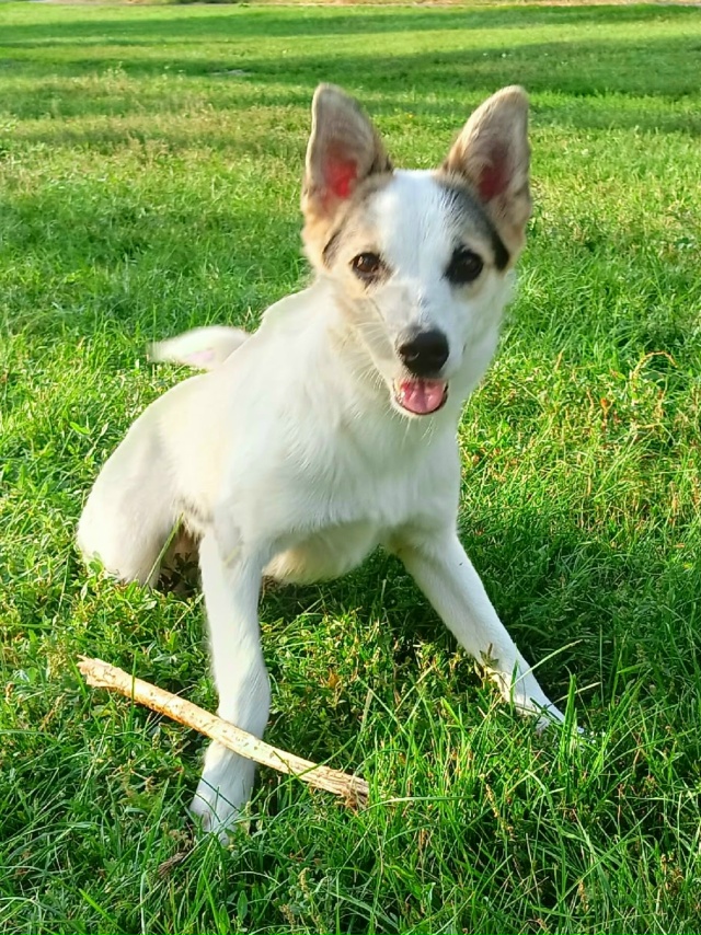 Миленькая и небольшая Туна срочно ищет любящую семью!??...