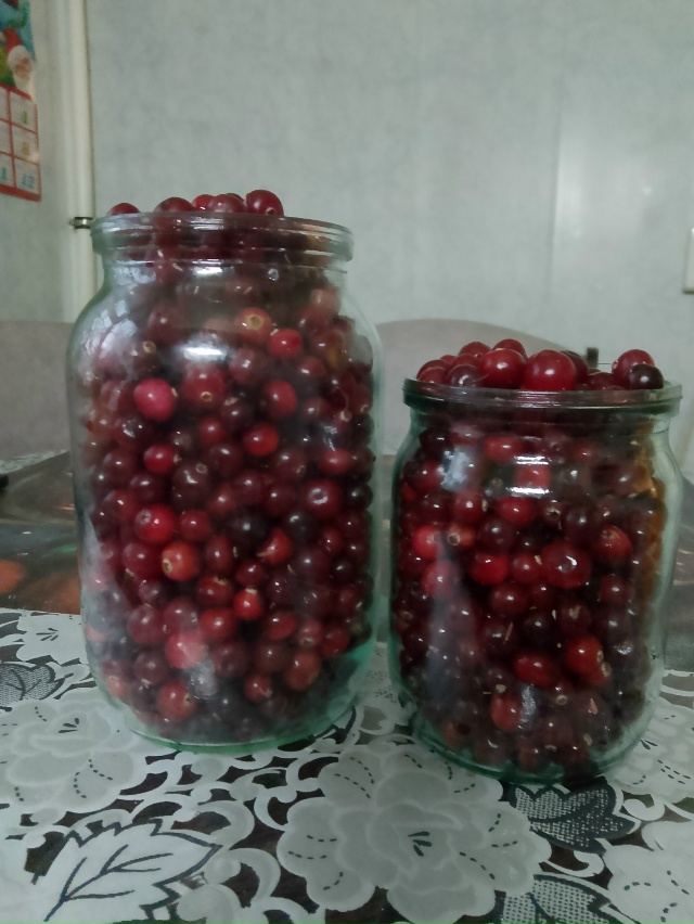 Продам клюкву 200₽ литр 89539088219