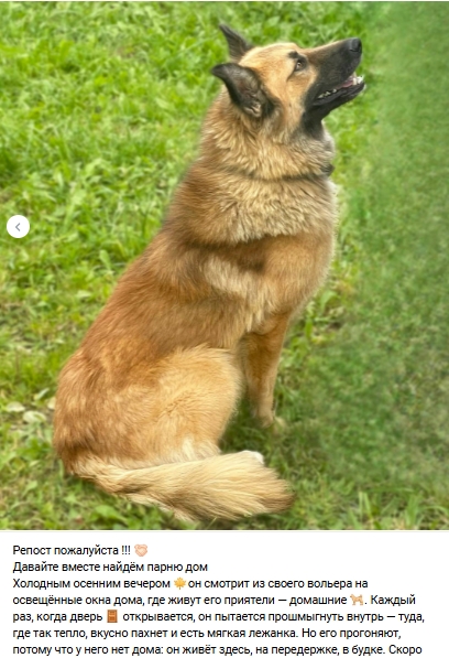 Пост добра. Распространите, пожалуйста.