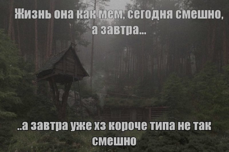 Ночная подборочка
Выходные, не спим
