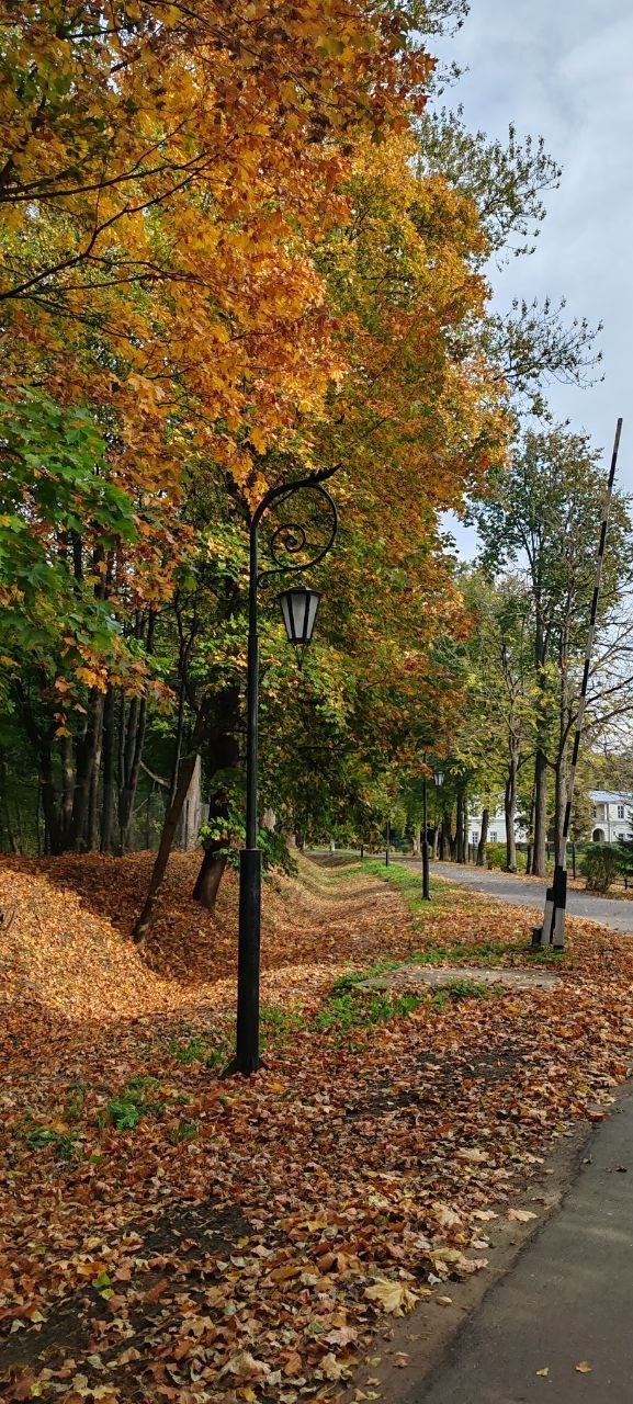 Осень в Балашихе🍁