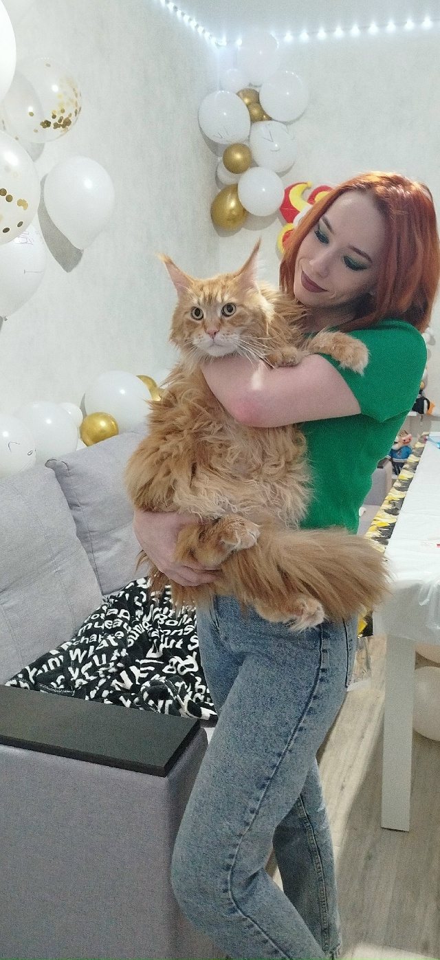 Ватсон, красавчик рыжий)