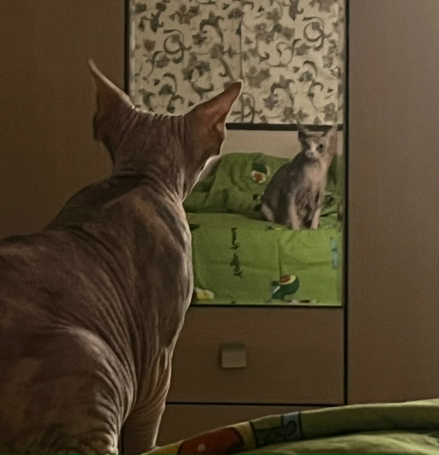 айзе за свои 12 лет довелось побывать в 3 городах, послед...