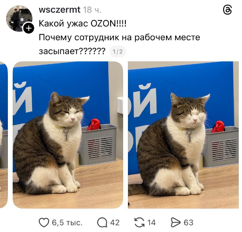 Ozon, мы требуем срочного объяснения за этот инцидент! 🤯