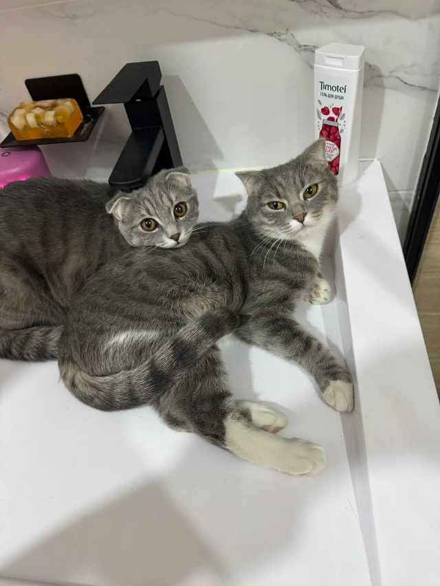 Всегда вместе.. 🤗🤗🤗.. Пуля и Гильза)))