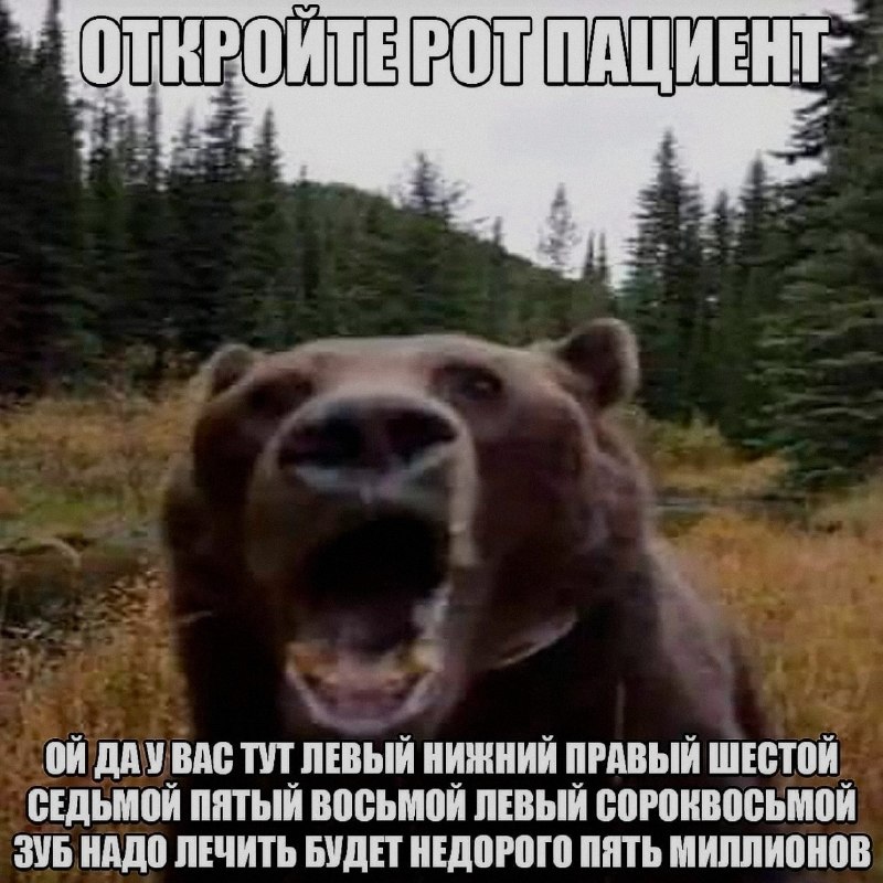 Ночная подборочка
Спать, режим