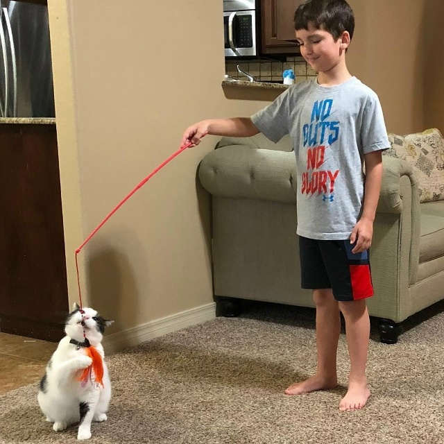 Это одна из тех историй, которые невозможно читать без ...